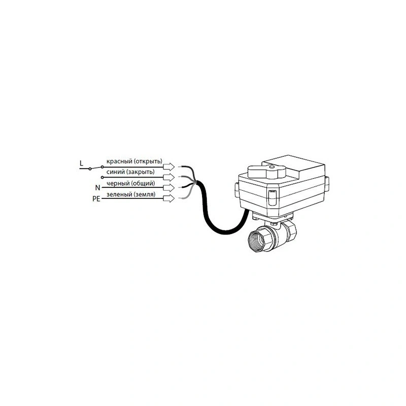 1419501_R (1)