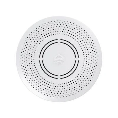 Датчик угарного газа (СО) беспроводной ectoСontrol