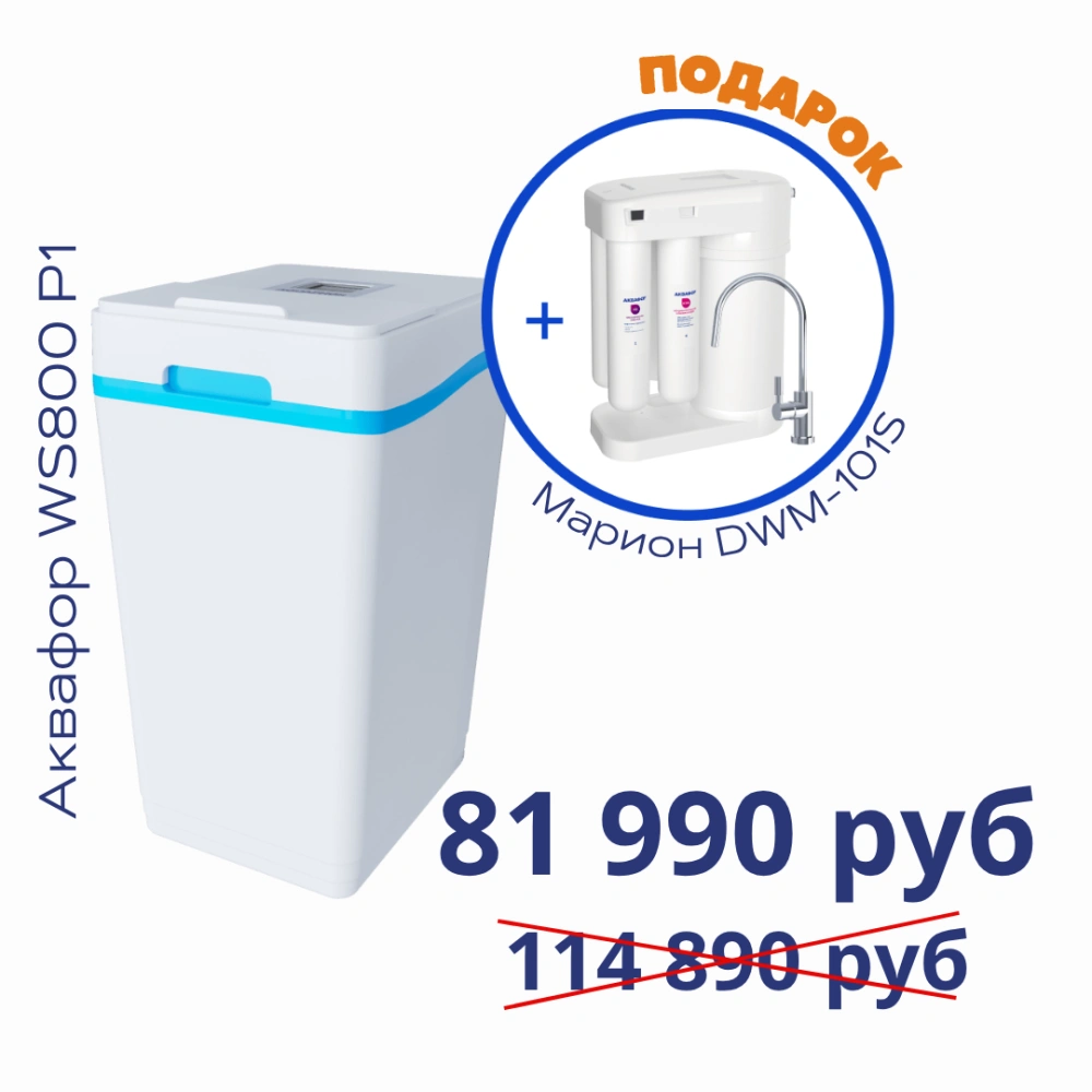 Умягчитель АКВАФОР WS800-P1+Автомат питьевой воды Аквафор Морион DWM-101S