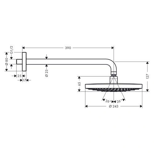 Верхний душ Raindance Select S 240 2jet, HANSGROHE