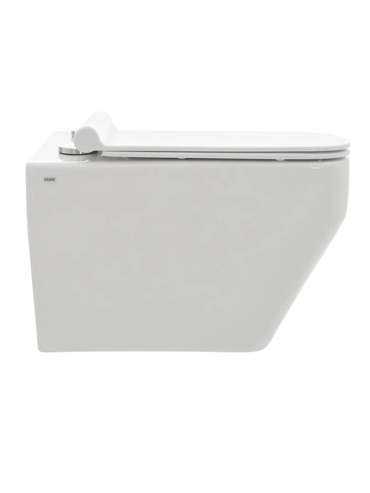 Унитаз подвесной с сиденьем, скрытый монтаж, AQM Aquame (Распродажа!)
