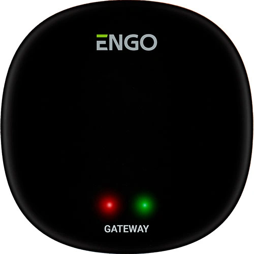 Универсальный интернет шлюз Zigbee для ENGO Smart
