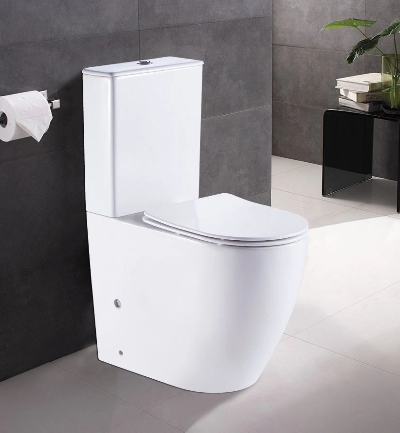 Унитаз напольный MIRADA 655х385х920 безободковый с бачком (мех.Geberit) AZARIO
