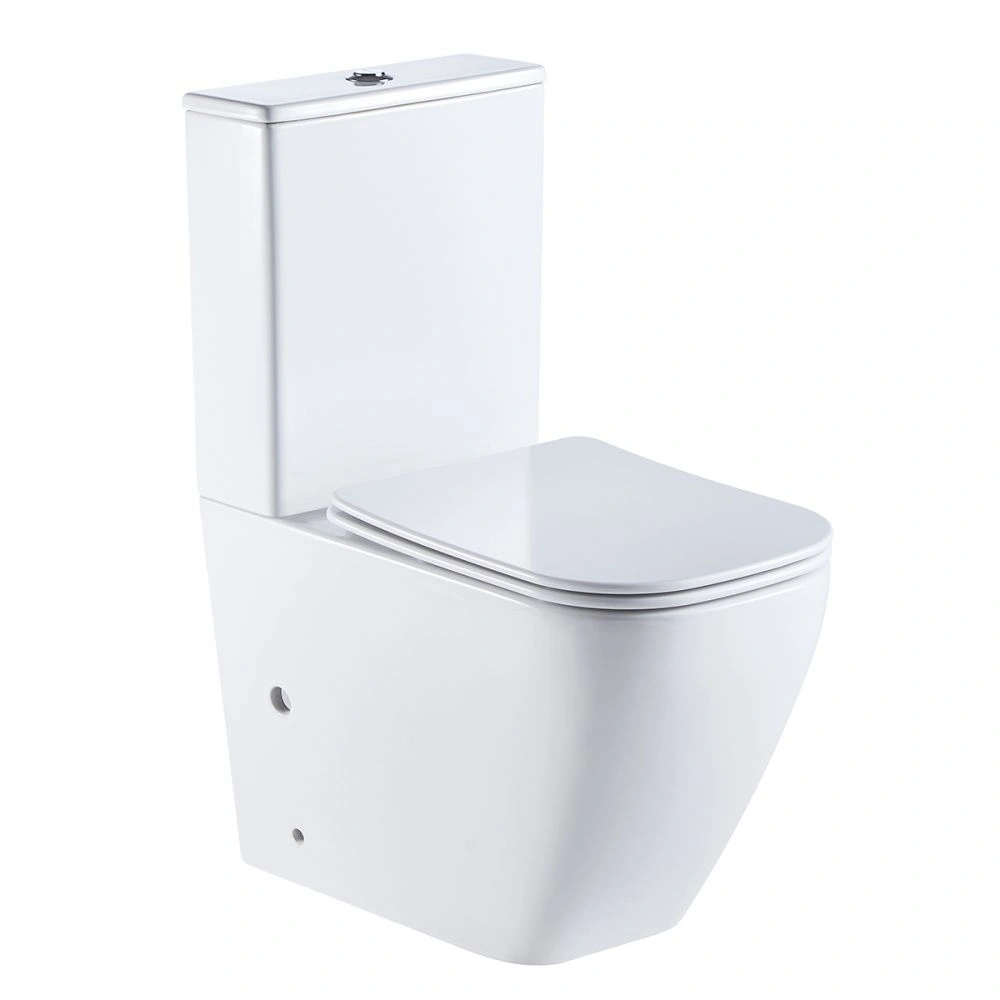 Унитаз напольный LEVANTO безободковый (арм.Geberit) Azario