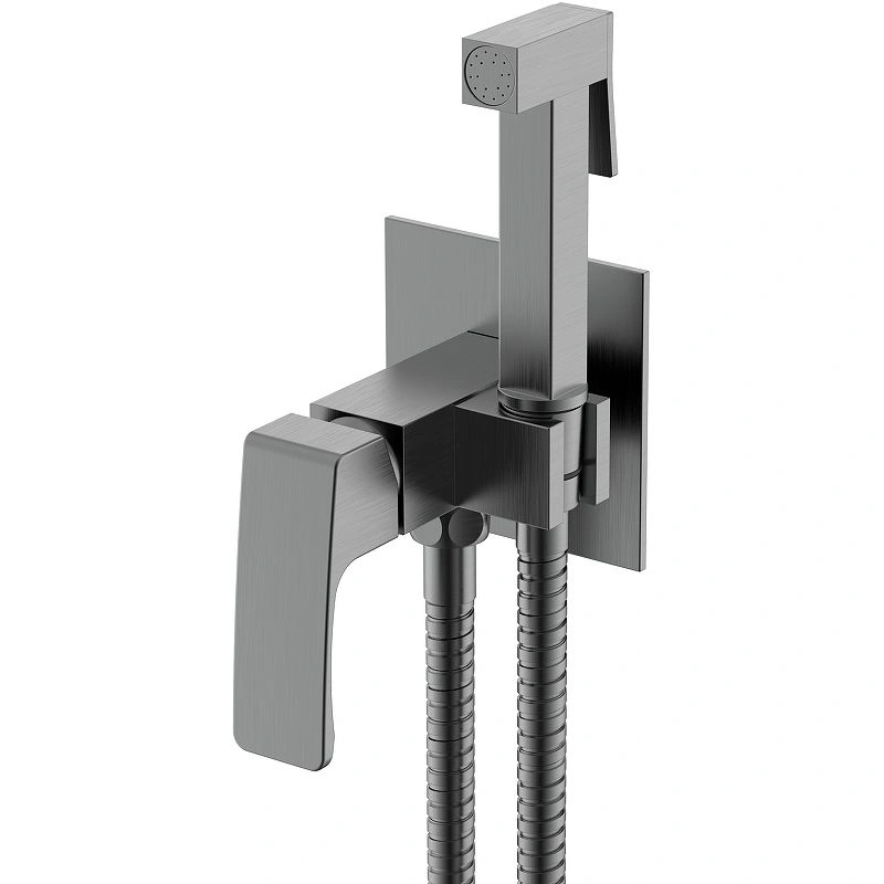 Смеситель с гигиеническим душем R01 Gun Metal, RAGLO 