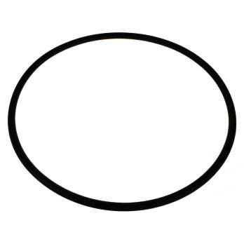 Кольцо уплотнительное "1 П" (прозрачный корпус) Гейзер