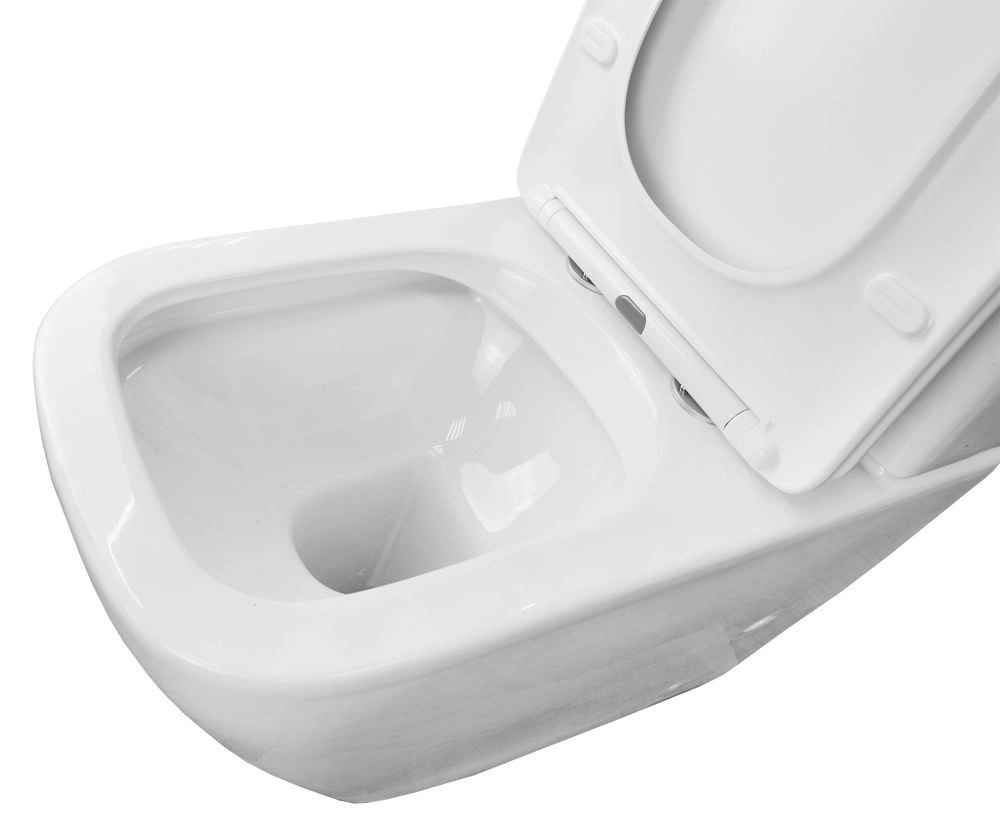 Унитаз напольный LEVANTO безободковый (арм.Geberit) Azario