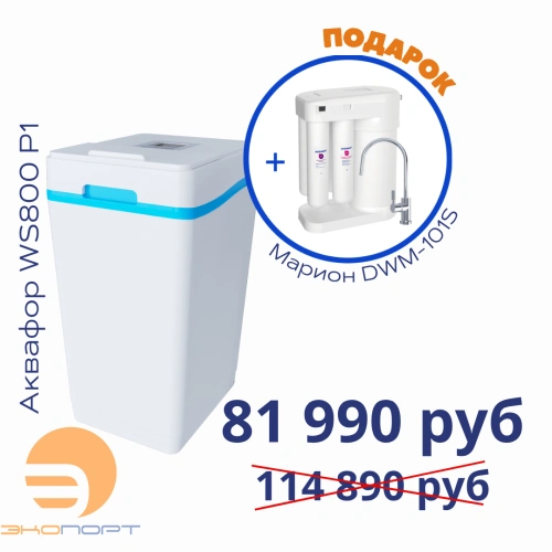 Умягчитель АКВАФОР WS800-P1+Автомат питьевой воды Аквафор Морион DWM-101S