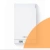 Котел Legacy 100-W A1HB U-rlu 24кВт  одноконтурный, дымоход DN60/100