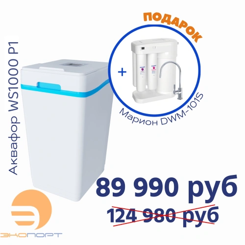 Умягчитель АКВАФОР WS1000-P1+Автомат питьевой воды Аквафор Морион DWM-101S