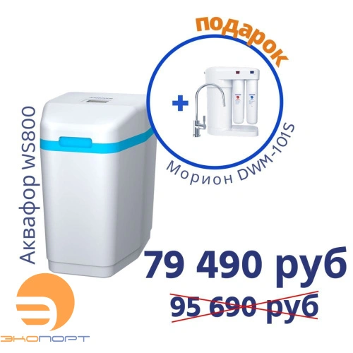 Умягчитель АКВАФОР WS800+Автомат питьевой воды Аквафор Морион DWM-101S