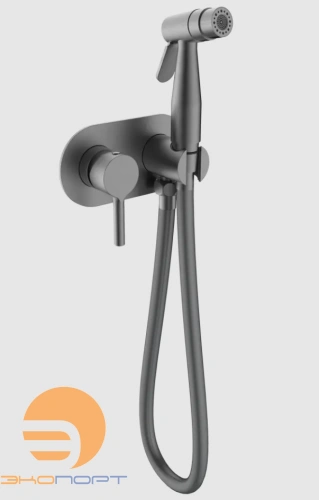 Смеситель с гигиеническим душем встраиваемый R20 Графит RAGLO