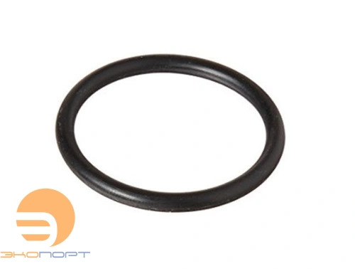 Уплотнительное кольцо (пластик) к блоку управления 2510