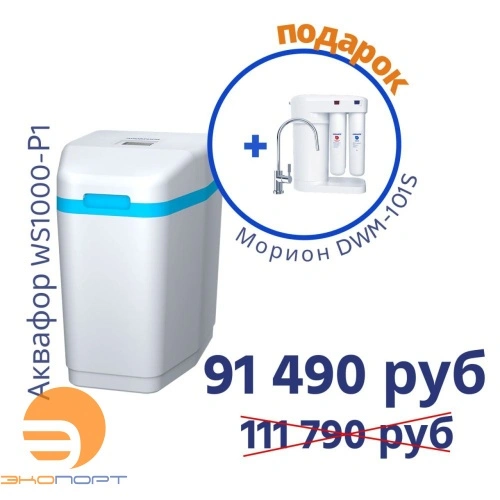 Умягчитель АКВАФОР WS1000-P1+Автомат питьевой воды Аквафор Морион DWM-101S