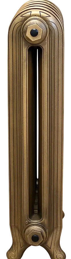 Радиатор чугунный Радимакс TROY (цена за секцию)