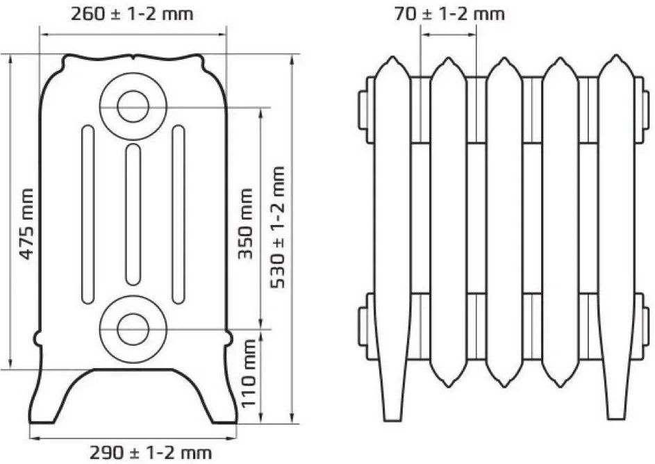 Радиатор чугунный Радимакс IRIS (цена за секцию)