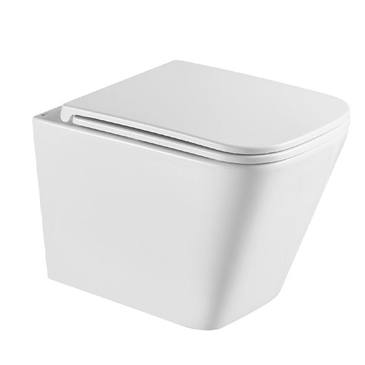 Унитаз подвесной безободковый FLOREX с крышкой (Торнадо 3.0) Lemark