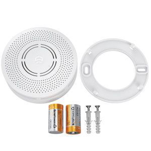 Датчик угарного газа (СО) беспроводной ectoСontrol