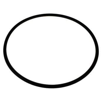 Кольцо уплотнительное "Тайфун ВВ" Гейзер