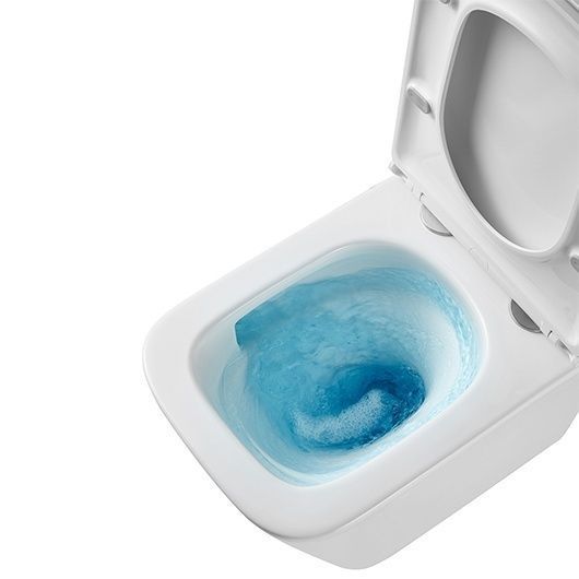 Унитаз подвесной безободковый FLOREX с крышкой (Торнадо 3.0) Lemark