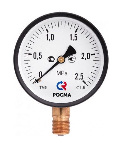 Манометр ТМ-310Р.00 (0..1,0 МПа), G1/4", 63мм, кл.т. 2,5, 150С, радиальный