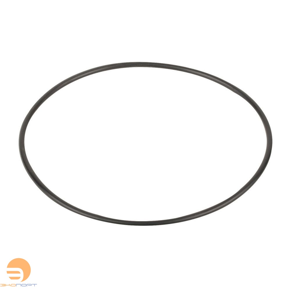 Прокладка крышки задней фланца насоса SS Emaux