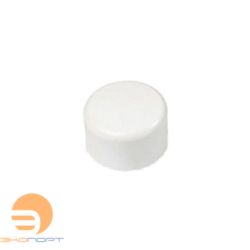 Пробка 40 PPRC FUSITEK