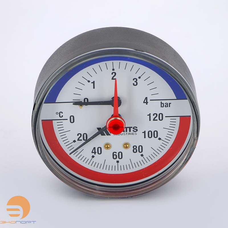 Термоманометр F+R818 80/10/120 (1/2", Ду 80 мм, 0...10 бар, 0...120С, аксиальный) (TMAX) Watts