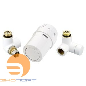 Комплект RAX, RA-URX, RLV-X холодно-белый  левый (термоэлемент, клапан терморег. и запорный) 