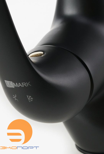Смеситель для умывальника SWAN, монолитный, черный/золото, LEMARK