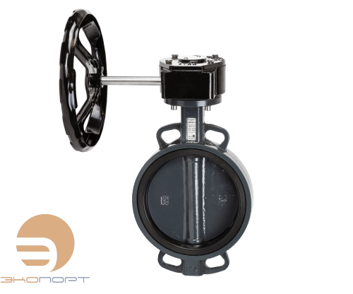 Затвор дисковый РИДАН ЗДМ 04.16.250, диск чугун, с ручным редуктором Затвор дисковый РИДАН ЗДМ 04.16.250, диск чугун, с ручным редуктором