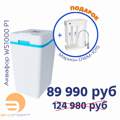 Умягчитель АКВАФОР WS1000-P1+Автомат питьевой воды Аквафор Морион DWM-101S