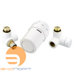 Комплект RAX, RA-URX, RLV-X холодно-белый  левый (термоэлемент, клапан терморег. и запорный) 