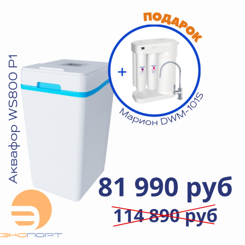 Умягчитель АКВАФОР WS800-P1+Автомат питьевой воды Аквафор Морион DWM-101S