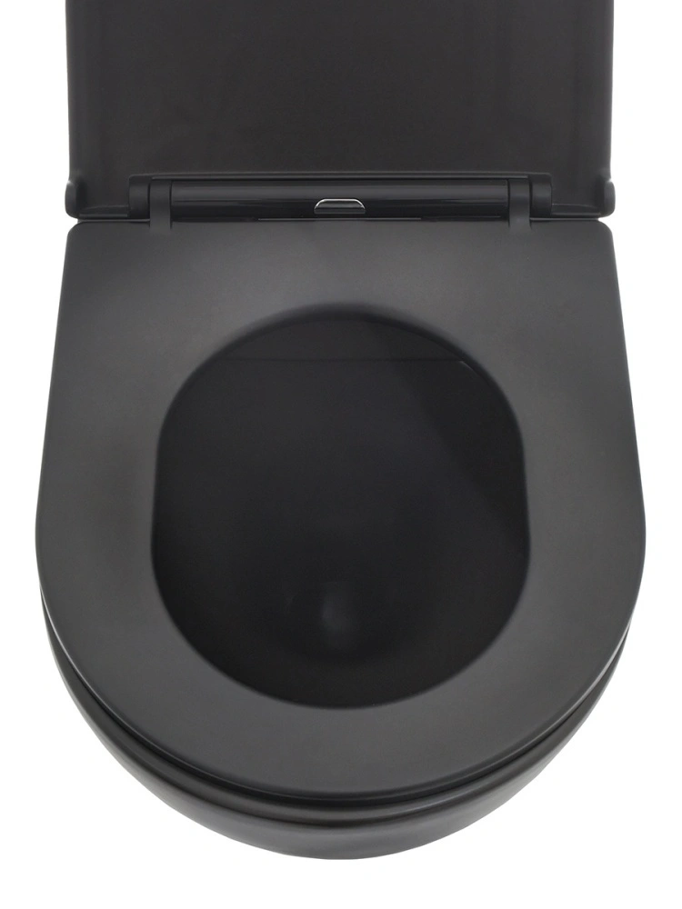 Унитаз подвесной с сиденьем SoftClose, технология смыва Rimless, скрытый крепеж, Черный мат AQM2001